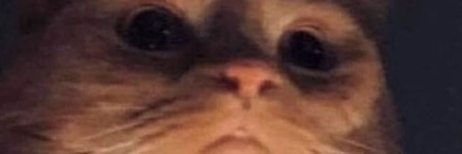 George profile banner