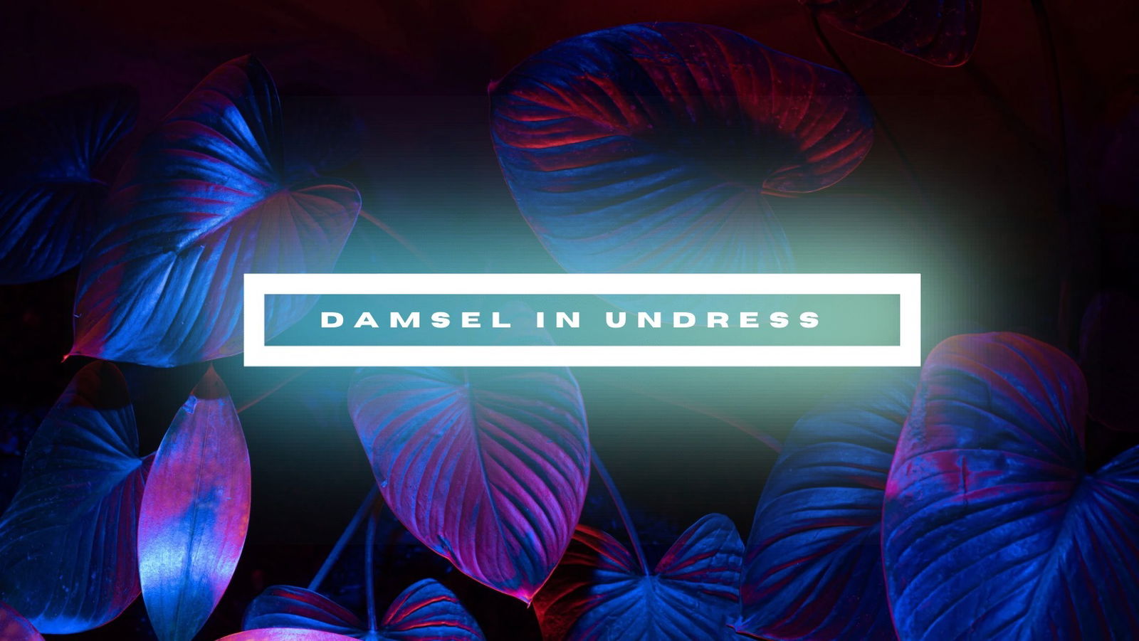Damsel In Undress profile banner