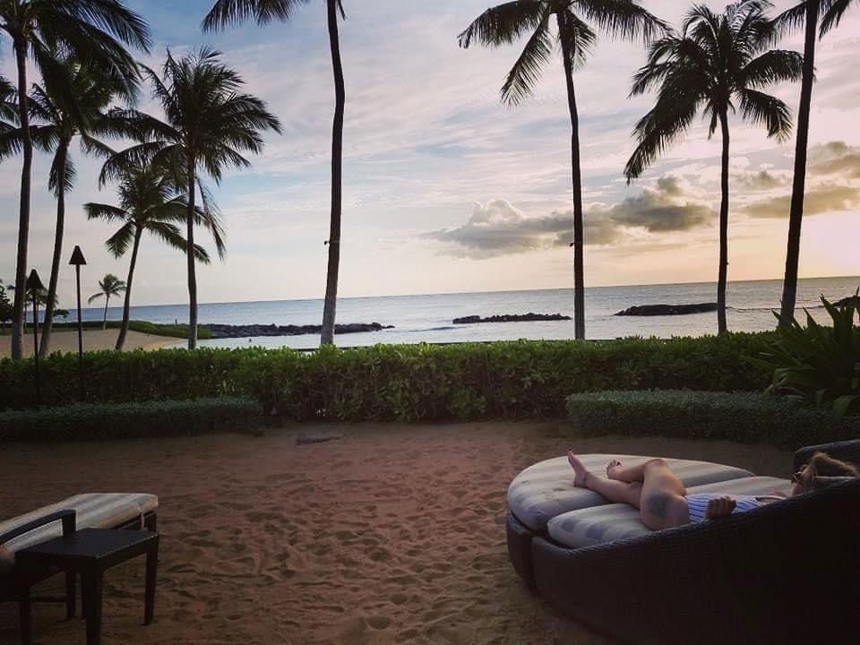 dandelionmonster420 banner