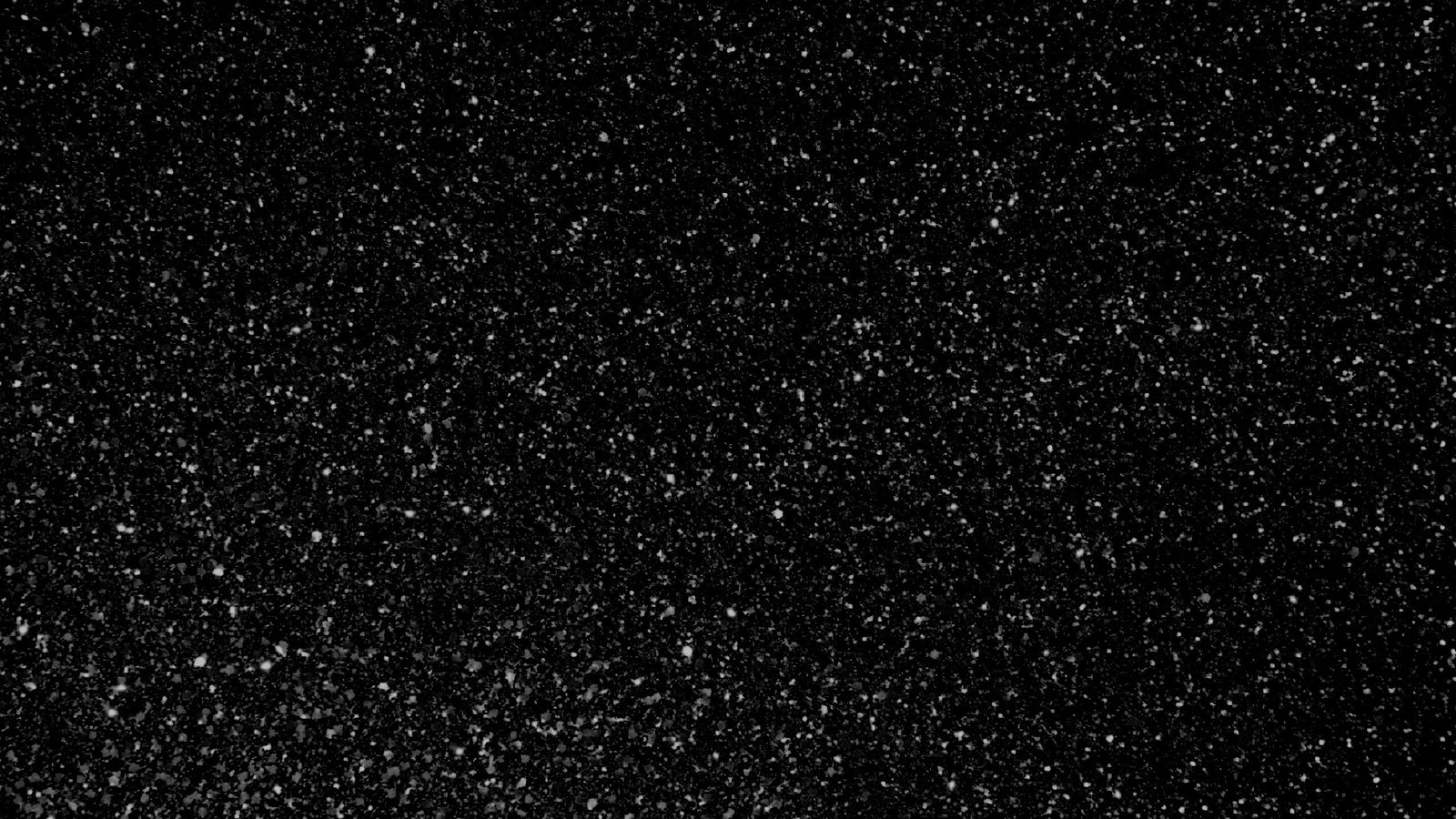 Daniela profile banner