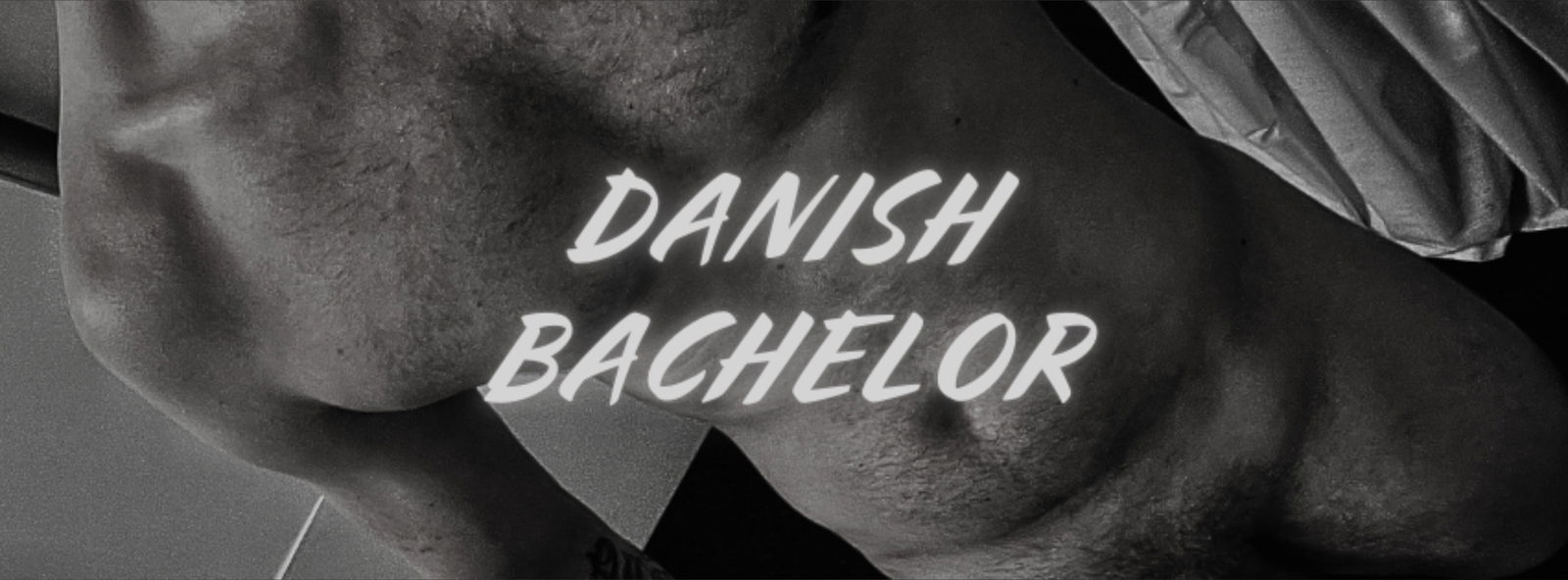 Danish Bachelor profile banner