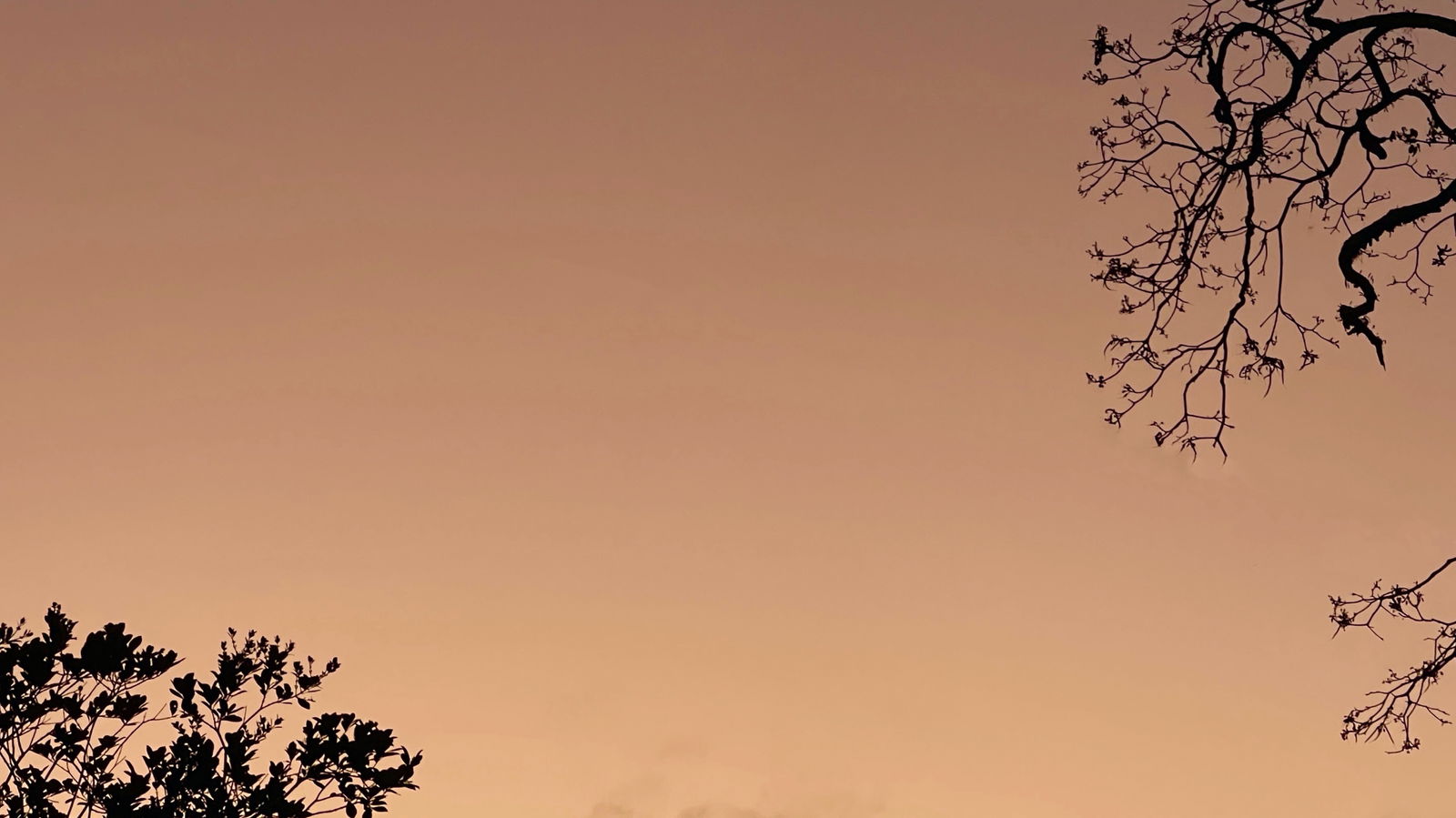 Daniel profile banner