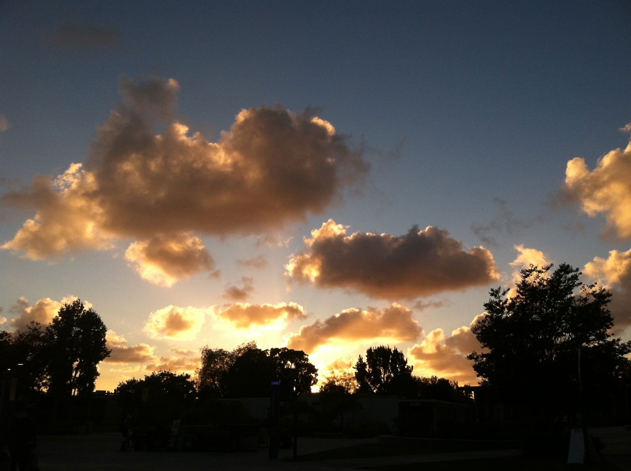 Dannee Perkins profile banner