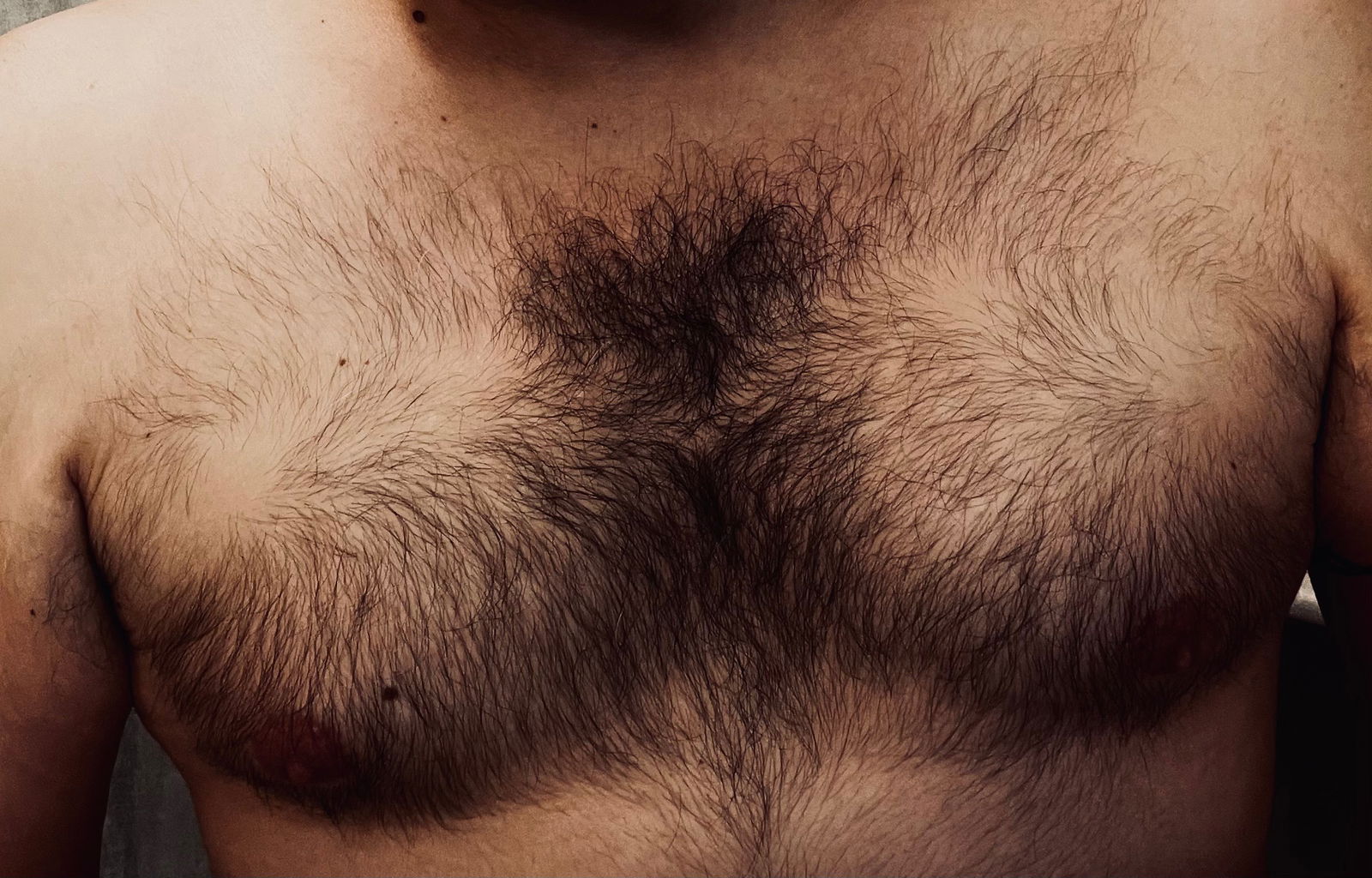 DannyDBear profile banner