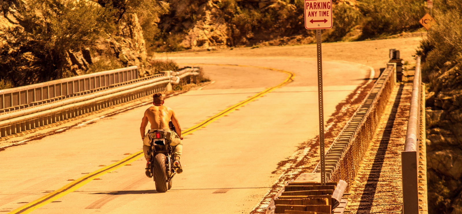 Dante Colle profile banner