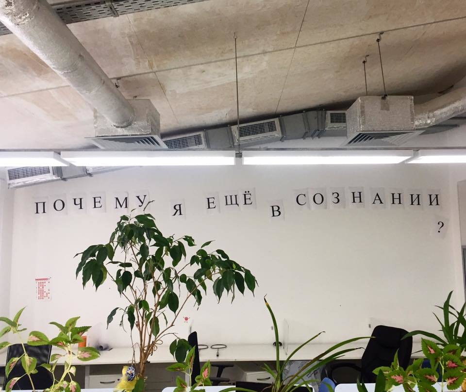 Дарья Синельникова profile banner