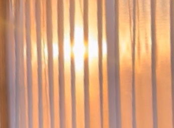 Dario Fuego profile banner
