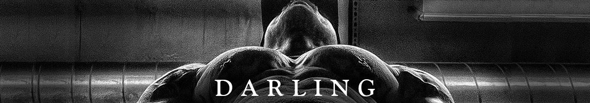 Darling13 profile banner