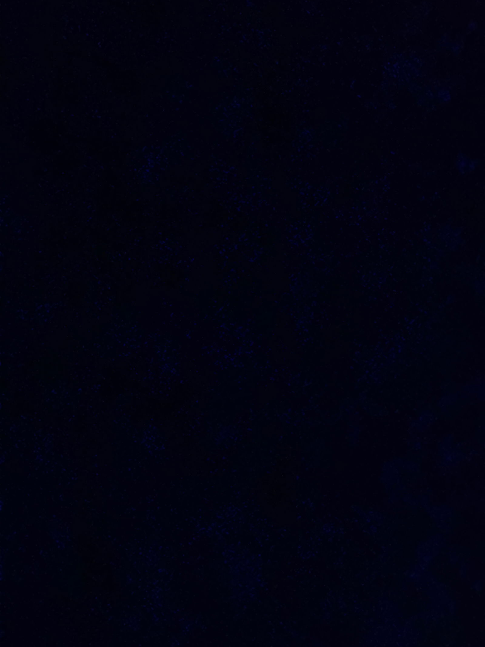 Daria profile banner
