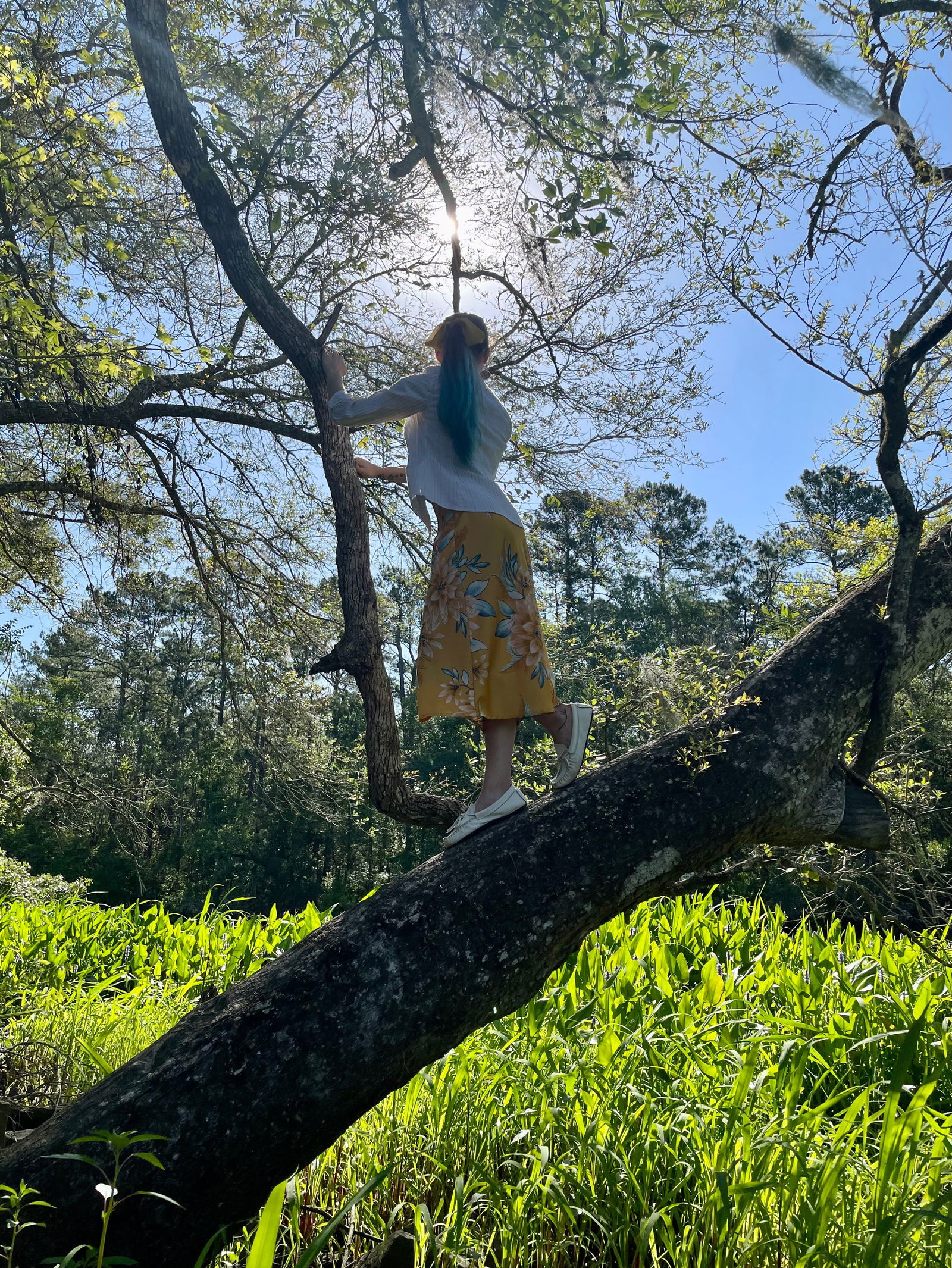 Shea profile banner