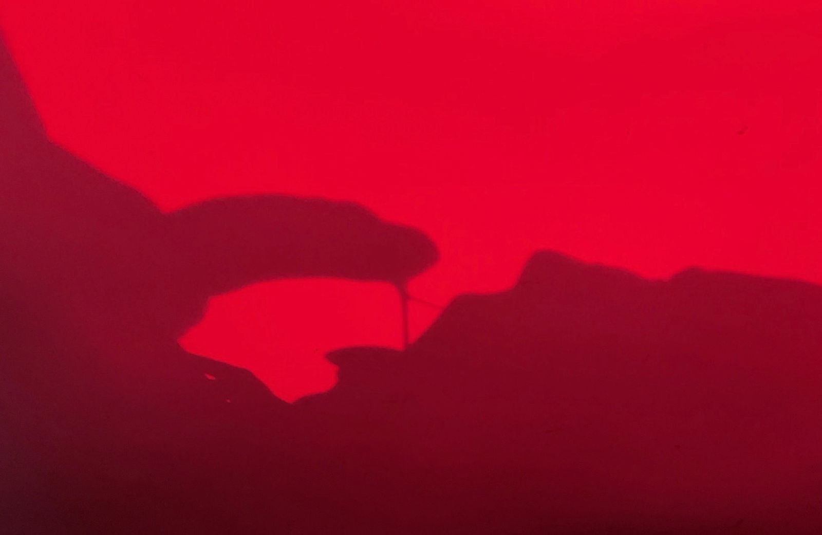 Darthpleasures profile banner