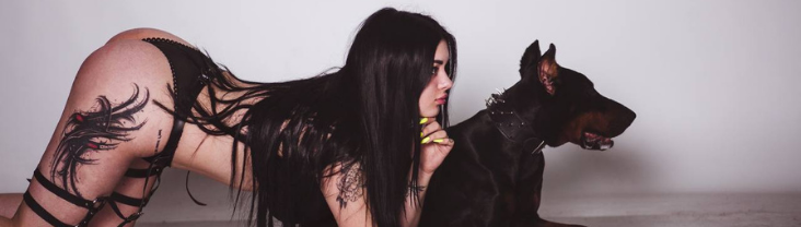 Dasha_dragon profile banner