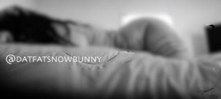 datfatsnowbunny banner