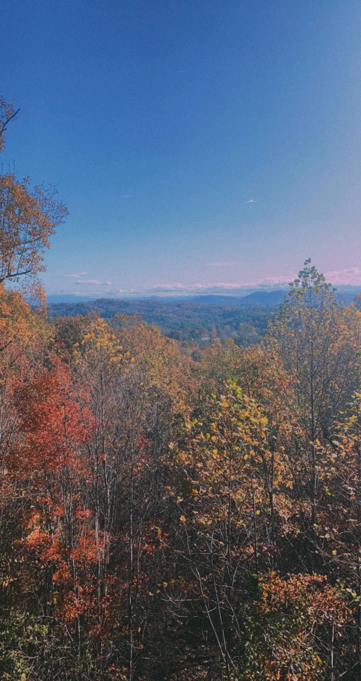 Ryan profile banner