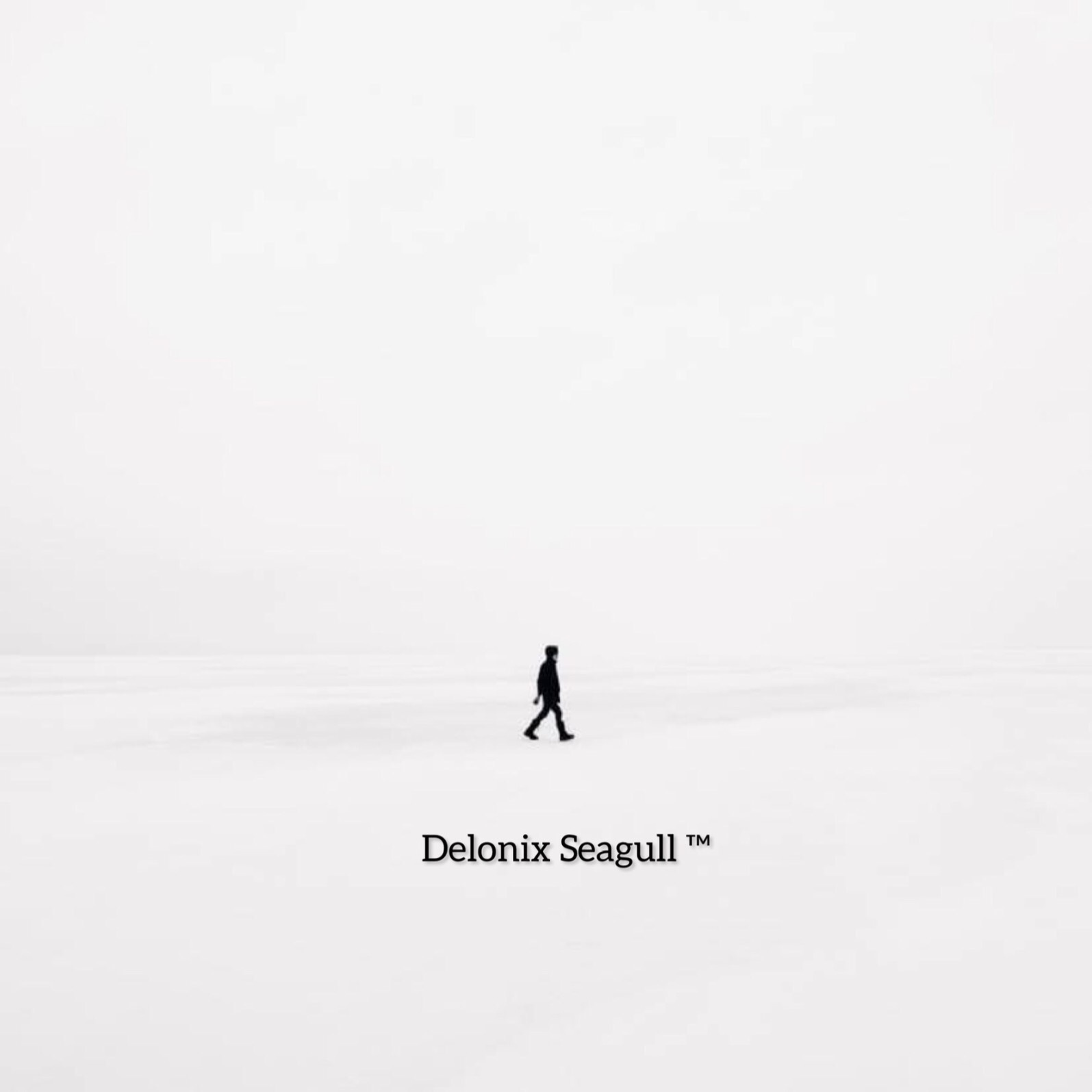 Delonix Seagull profile banner