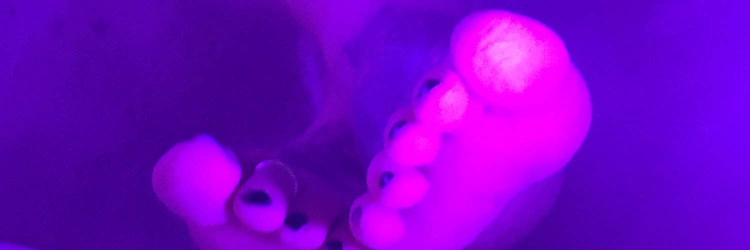 Demeter DeLune profile banner
