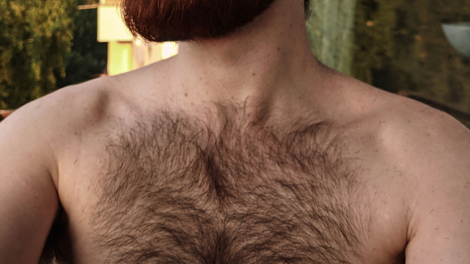Den profile banner
