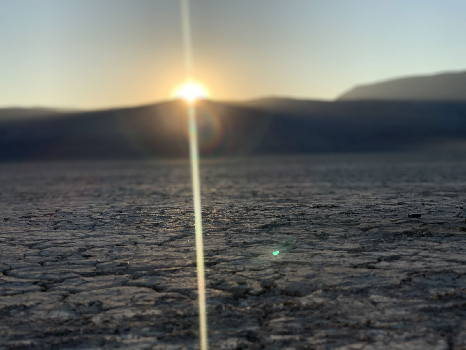 Desert Man profile banner