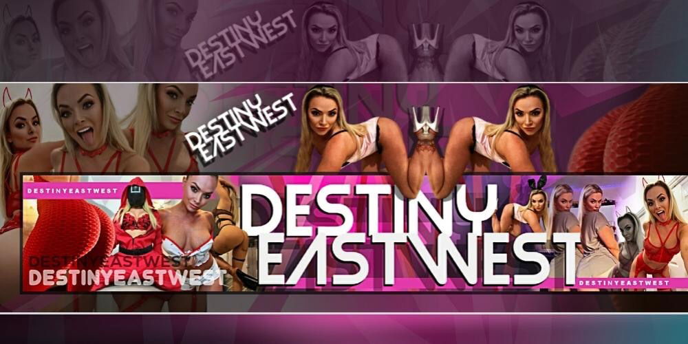 Destiny profile banner