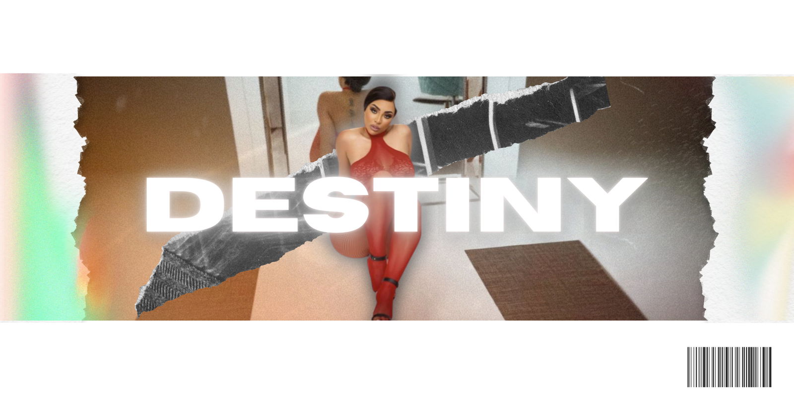 destinyskye banner