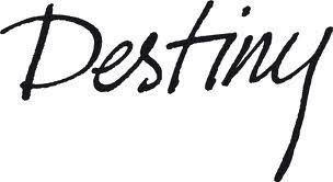 Destiny profile banner