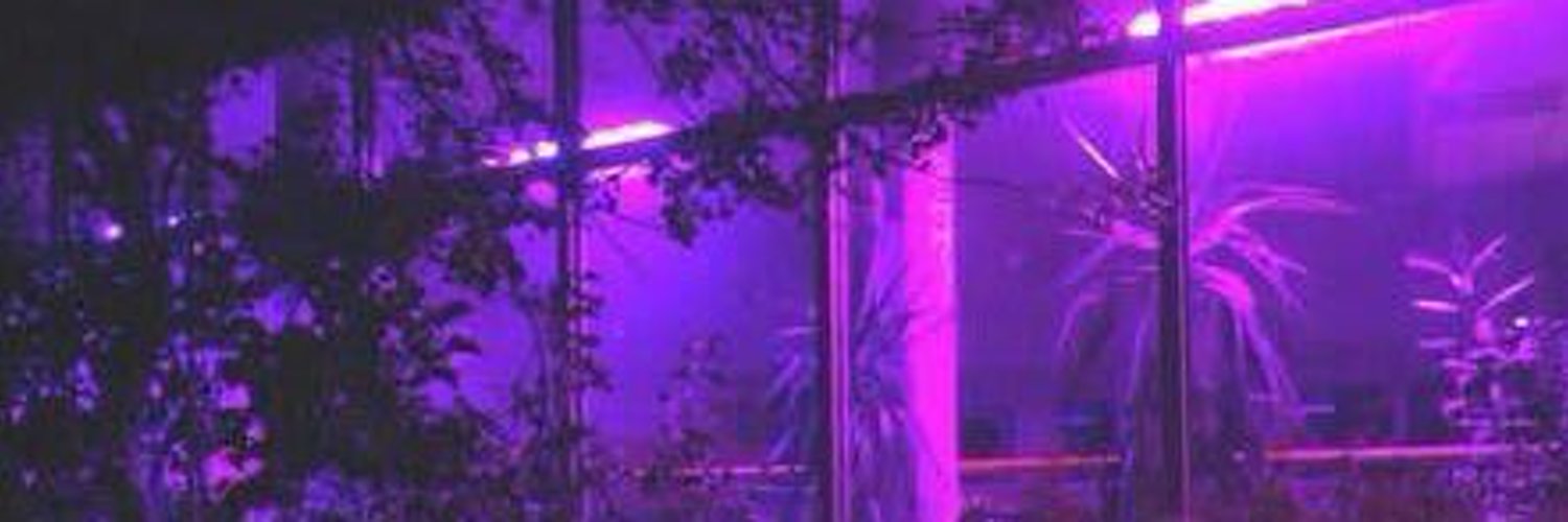 DevinT_XXX profile banner
