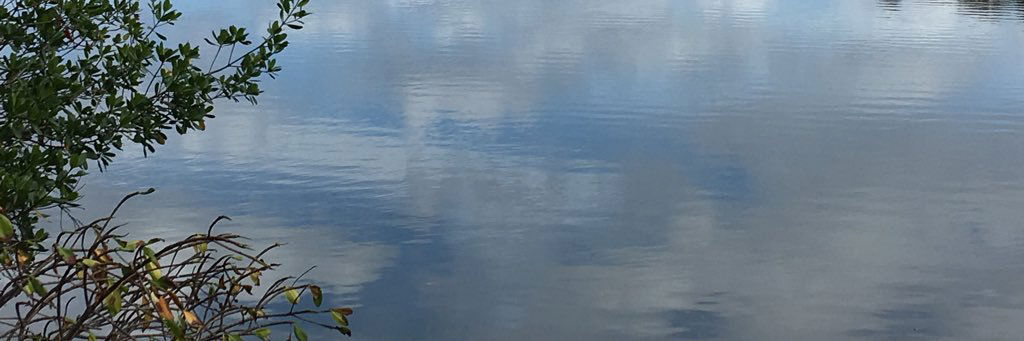 Dickstraction XXX profile banner