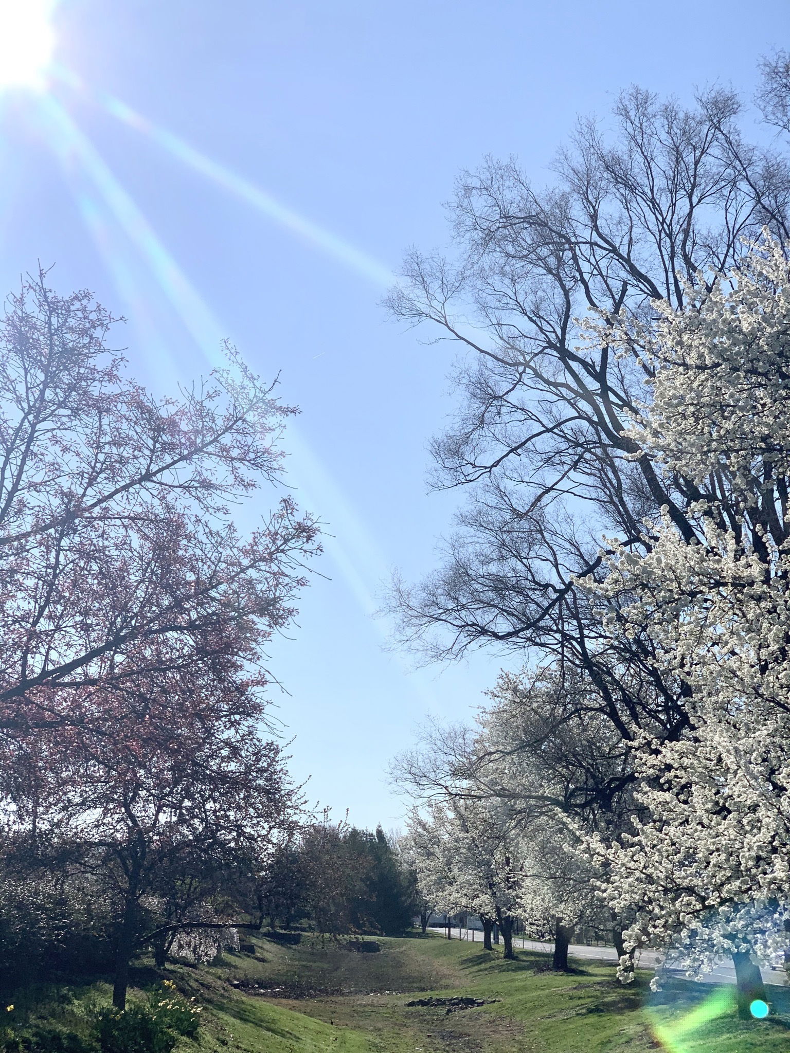 Ed profile banner