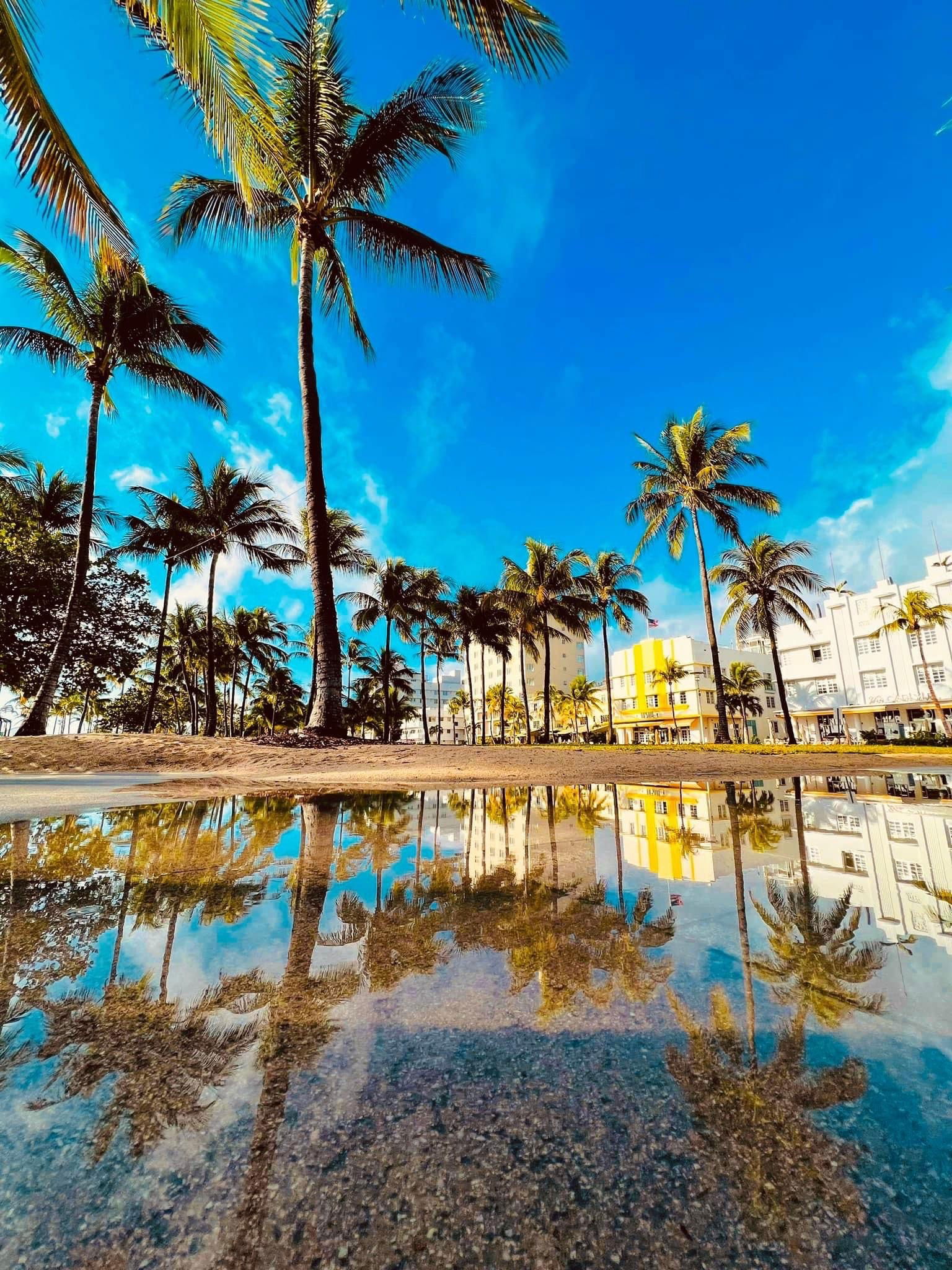 diegoalonsohot1 banner