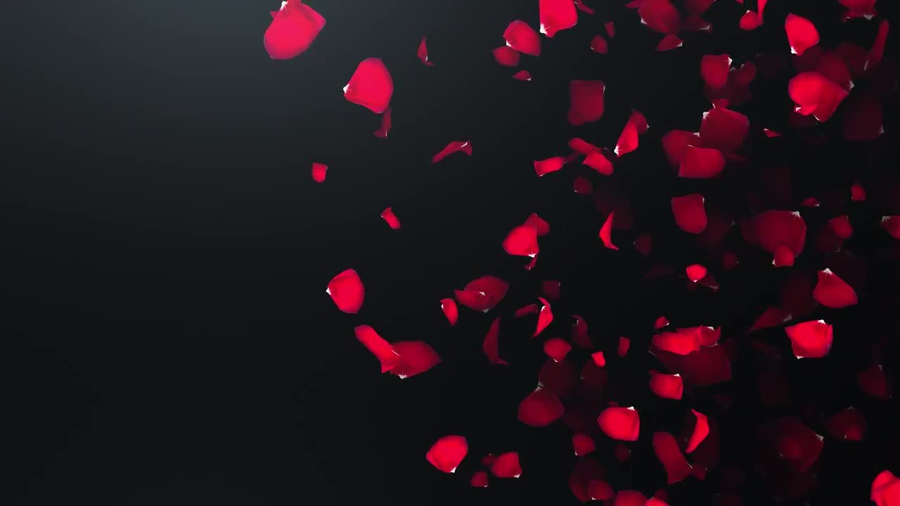 Dr. D profile banner