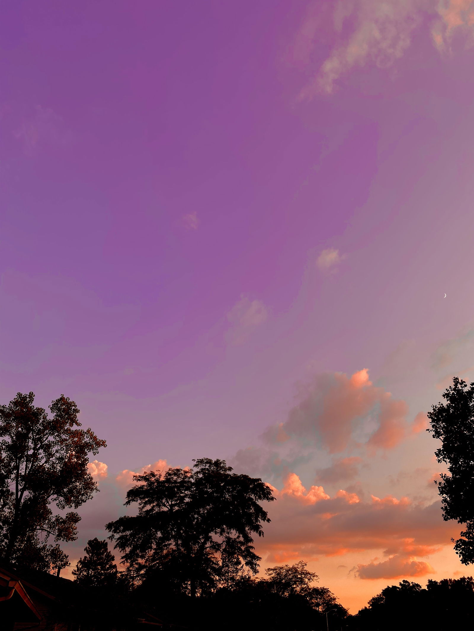 Di profile banner