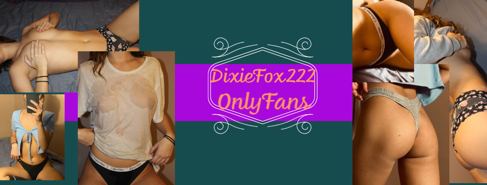 Dixie Fox profile banner