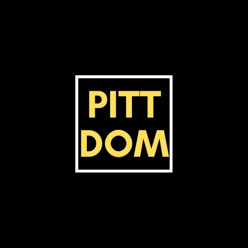 DLPittDom profile banner