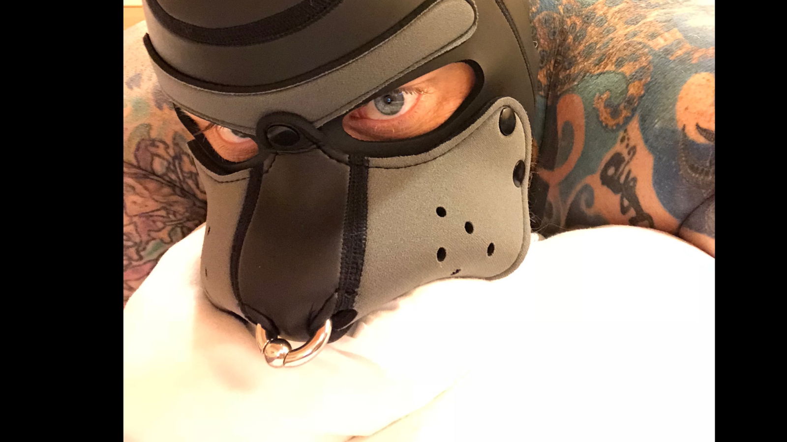 The Dallas Dogfather profile banner