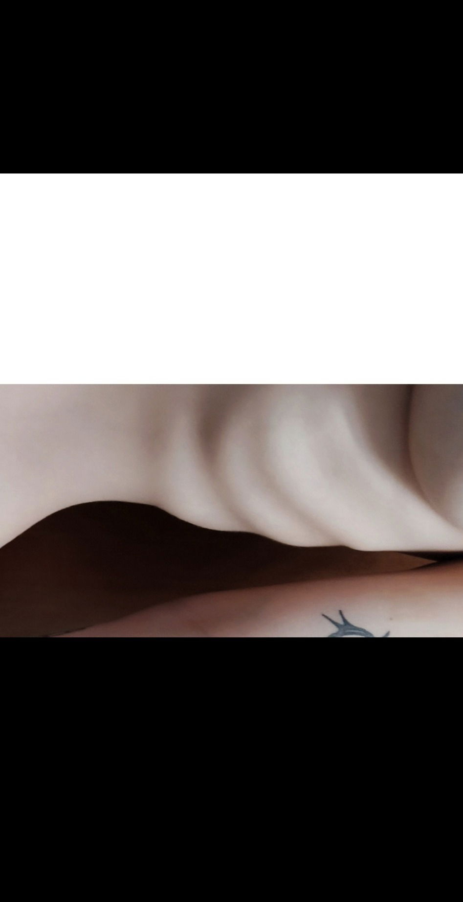 Dolly Purrton profile banner