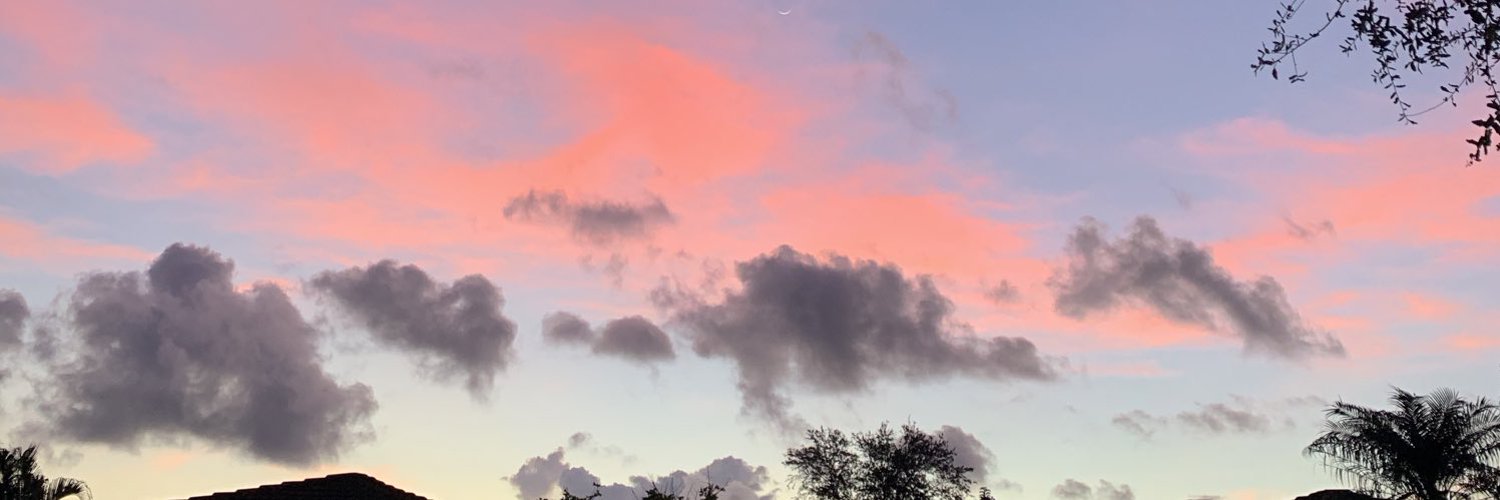 Dirtbag profile banner