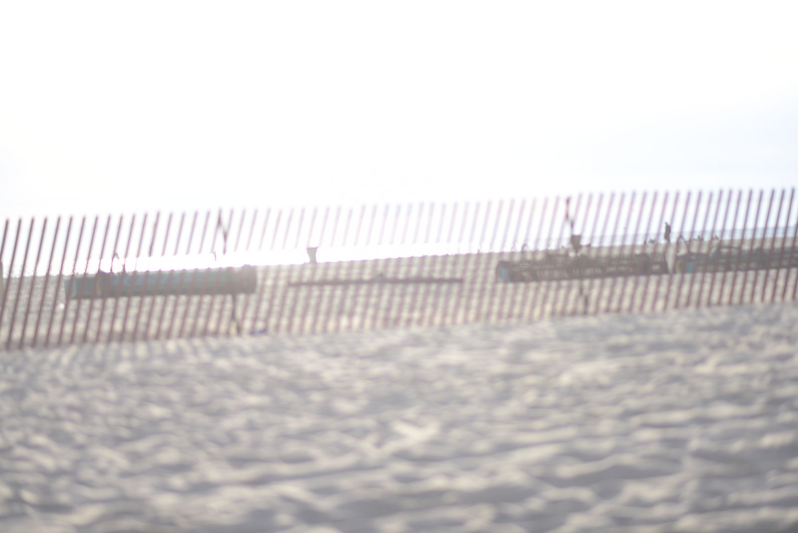 Dominique Rystan profile banner