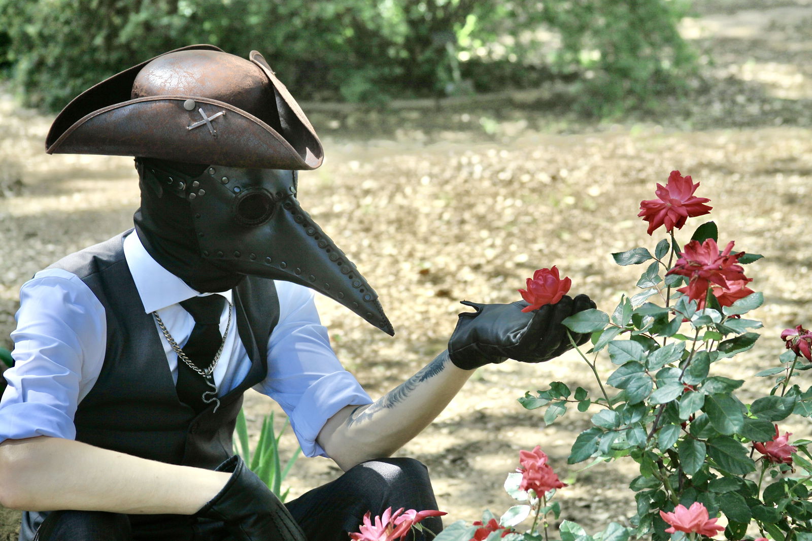 Plague_Charming profile banner