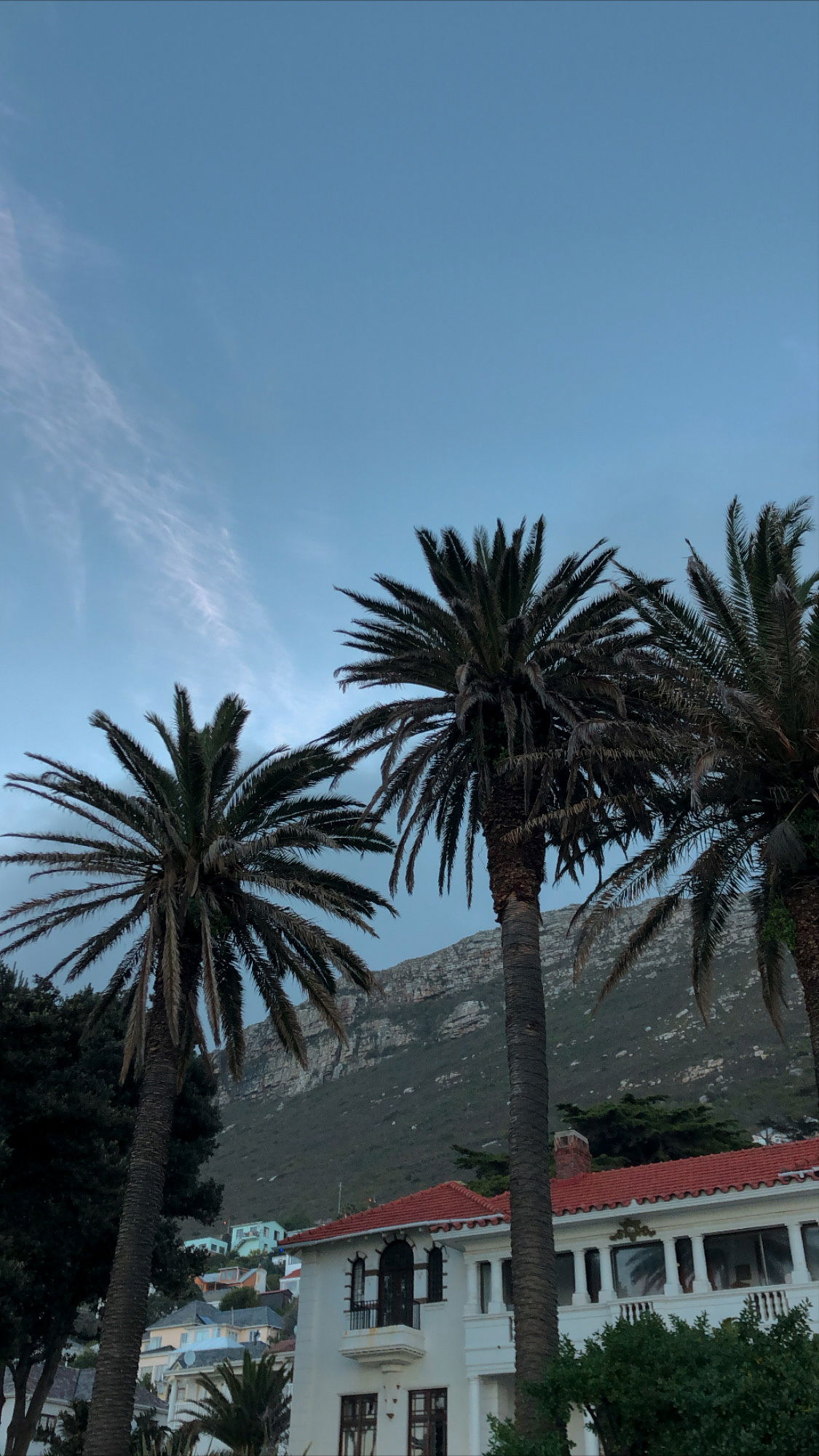 Dreaded Fantasies profile banner
