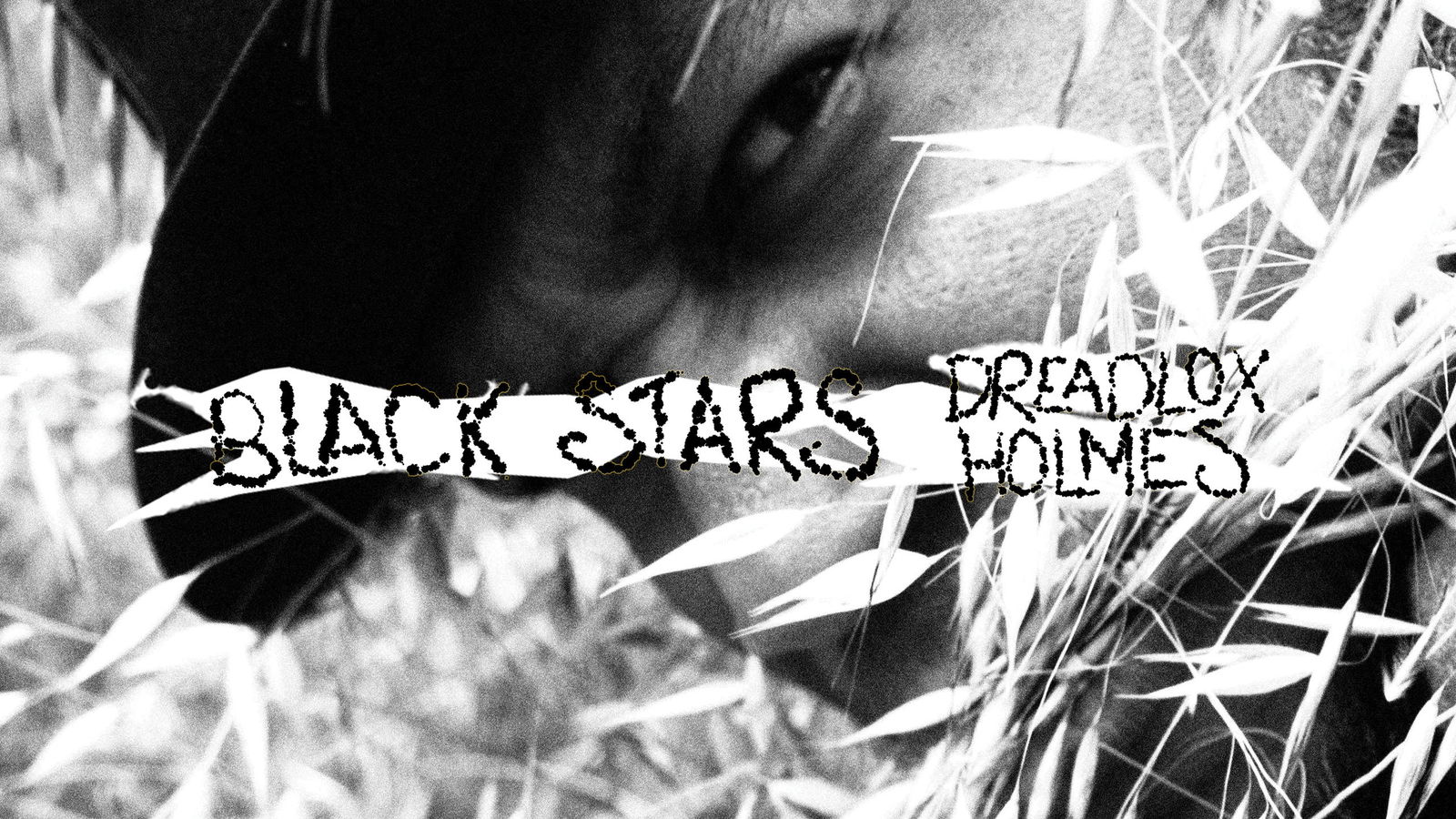 Dreadlox Holmes profile banner