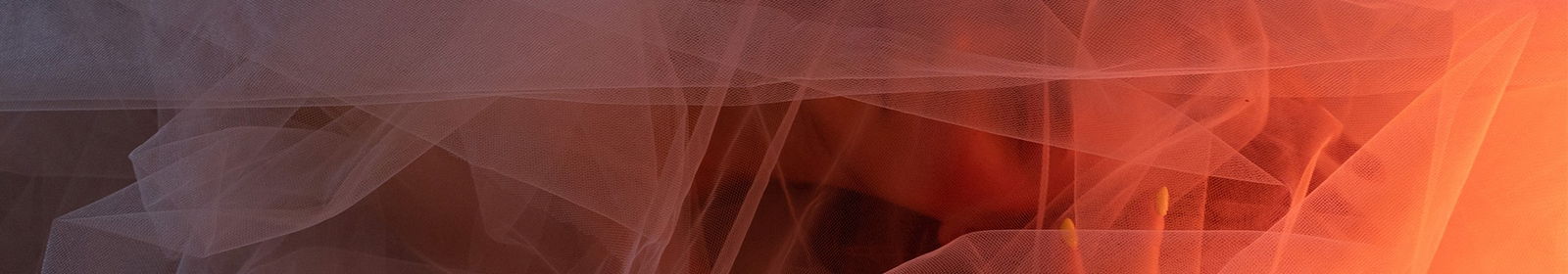 DreamscomeFree profile banner