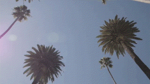 Chris Blake BF profile banner