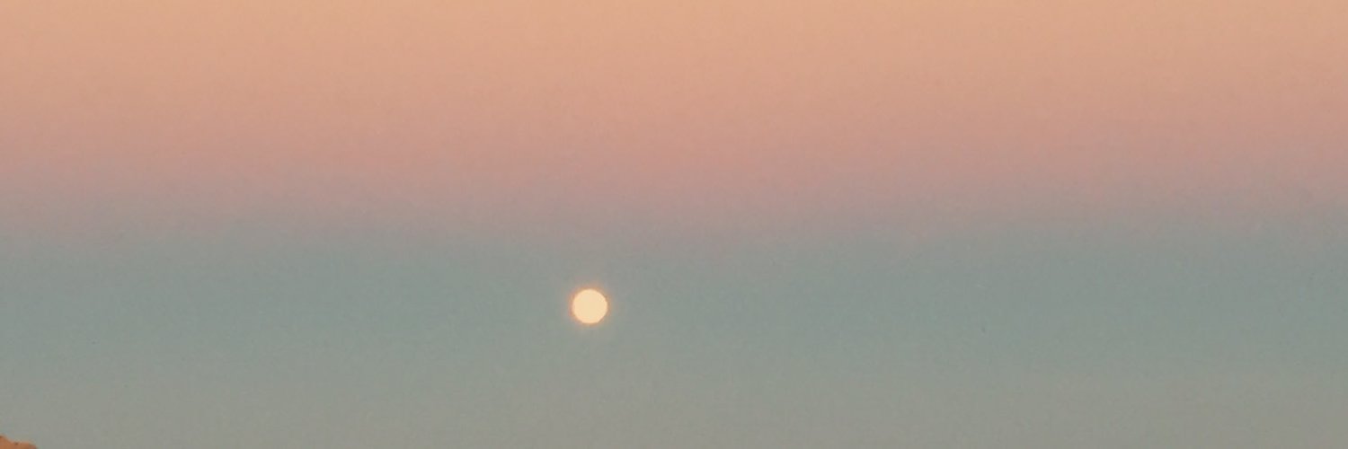 dreamyandpeachy banner