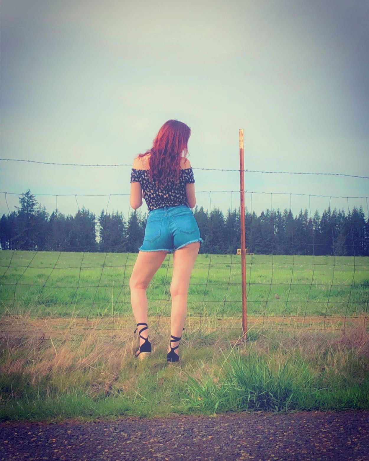 Brittany profile banner