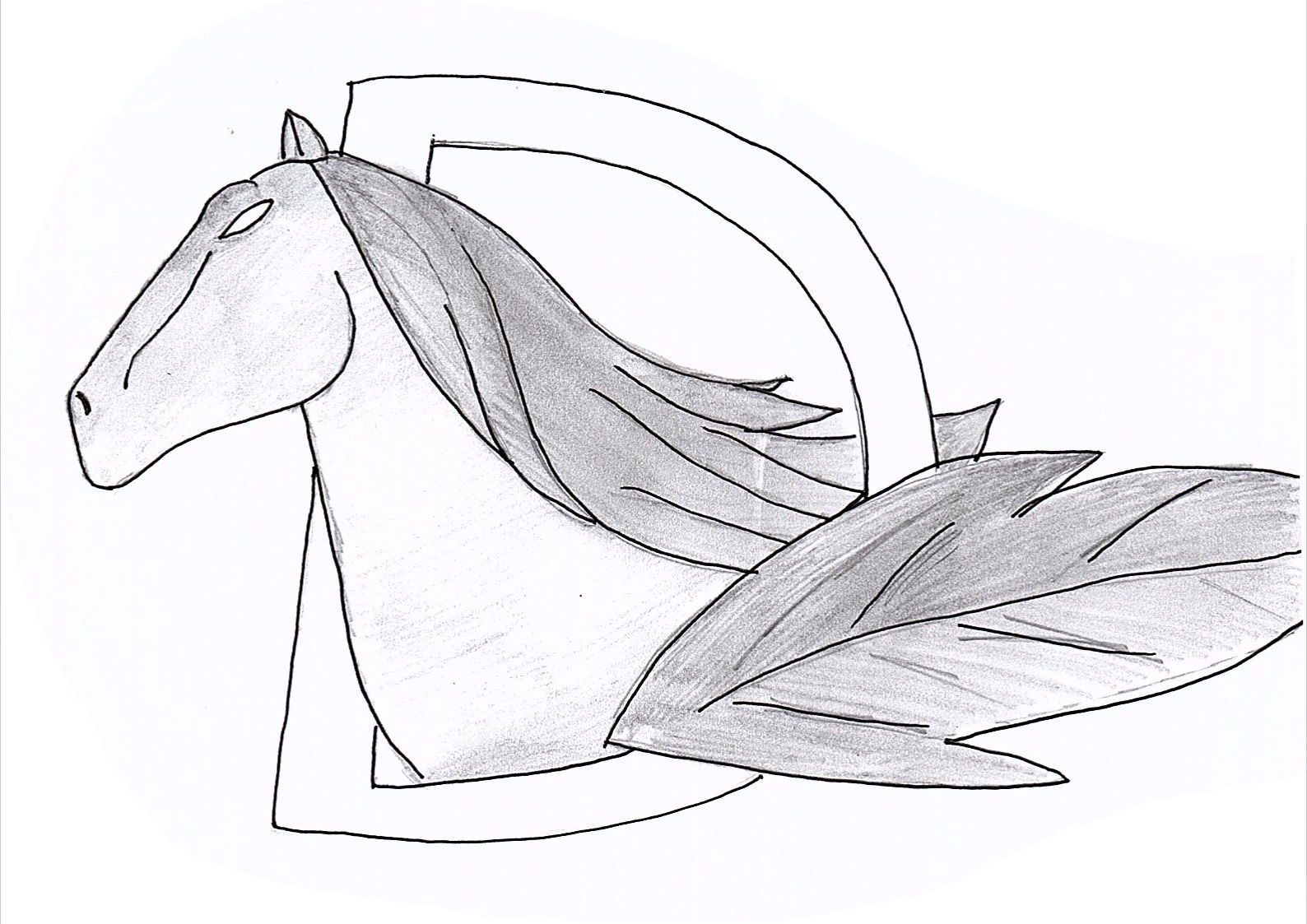 Drkpegasus profile banner