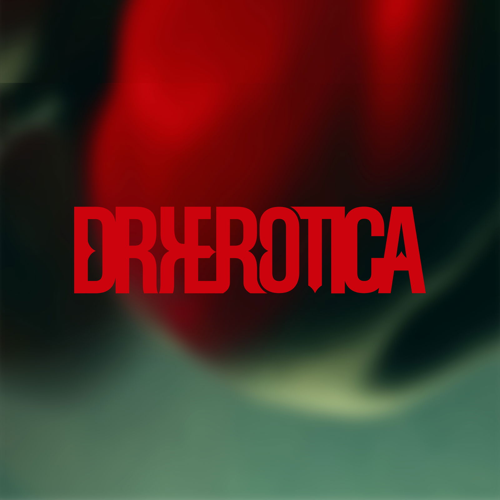 dryerotica profile banner