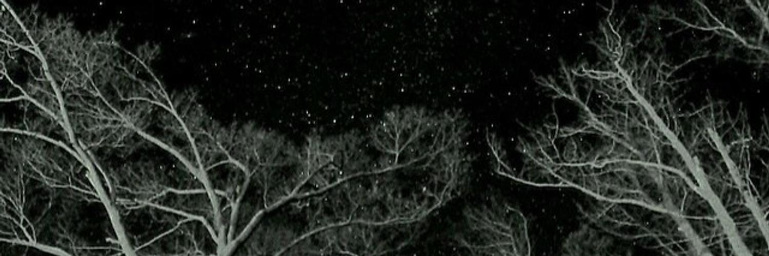 Max Bangor profile banner