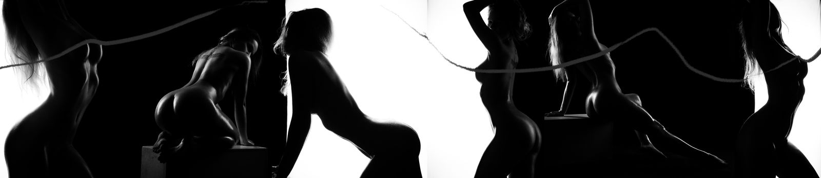 Dmitrij Timofejev Photographer profile banner