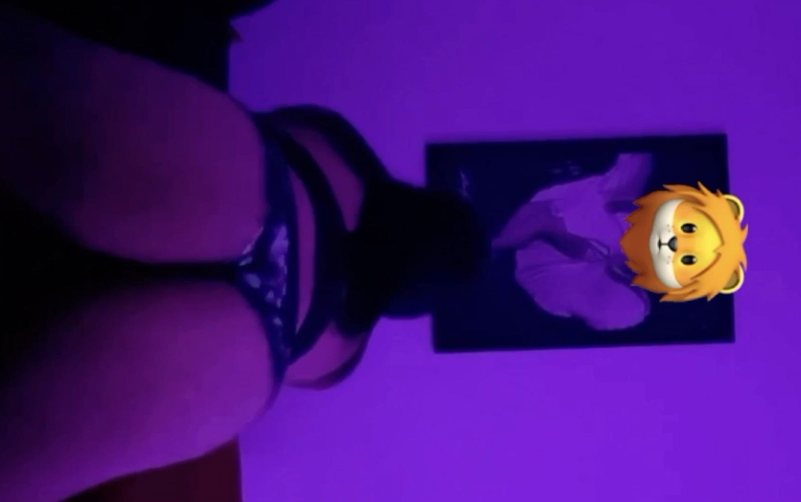 dvm808 banner
