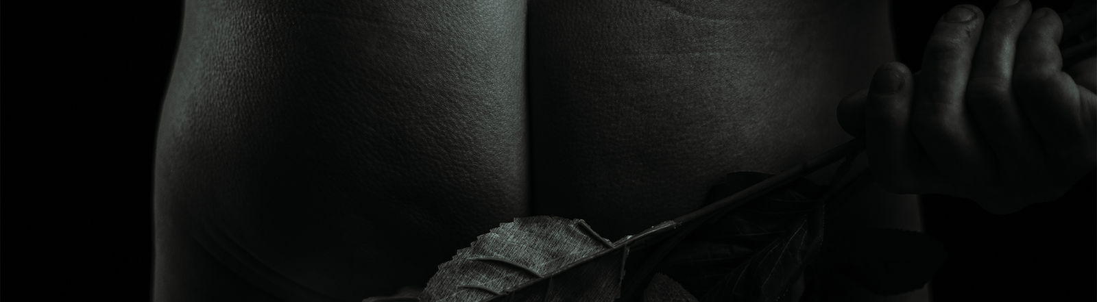 D-Wing Photography profile banner